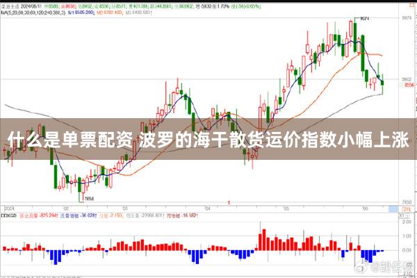 什么是单票配资 波罗的海干散货运价指数小幅上涨