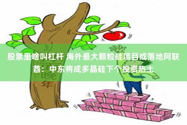 股票里啥叫杠杆 海外最大颗粒硅项目或落地阿联酋：中东将成多晶硅下个投资热土