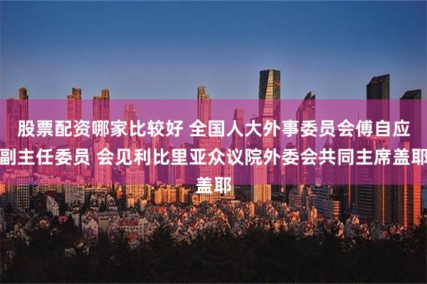 股票配资哪家比较好 全国人大外事委员会傅自应副主任委员 会见利比里亚众议院外委会共同主席盖耶