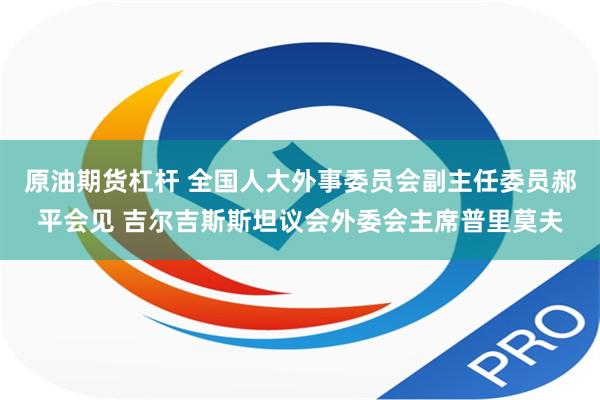 原油期货杠杆 全国人大外事委员会副主任委员郝平会见 吉尔吉斯斯坦议会外委会主席普里莫夫