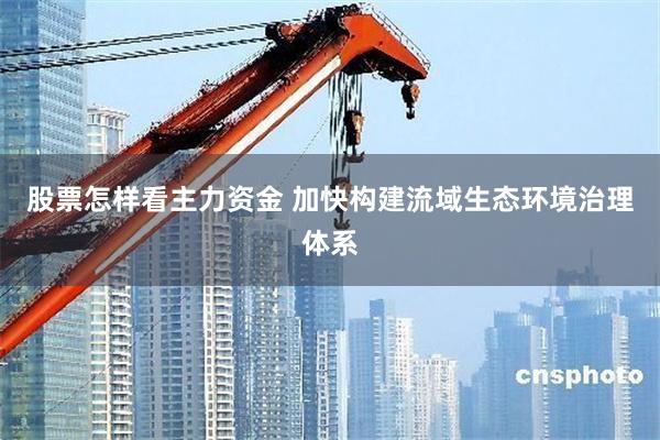 股票怎样看主力资金 加快构建流域生态环境治理体系