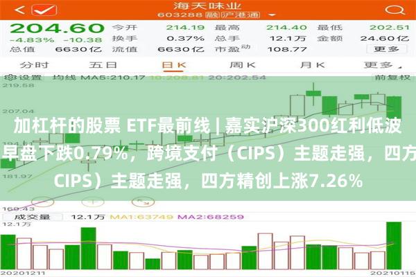 加杠杆的股票 ETF最前线 | 嘉实沪深300红利低波动ETF(515300)早盘下跌0.79%，跨境支付（CIPS）主题走强，四方精创上涨7.26%