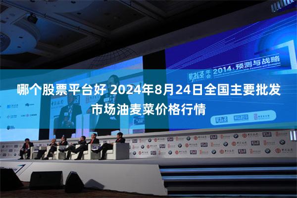 哪个股票平台好 2024年8月24日全国主要批发市场油麦菜价格行情