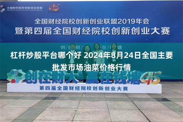 杠杆炒股平台哪个好 2024年8月24日全国主要批发市场油菜价格行情