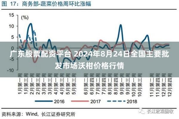 广东股票配资平台 2024年8月24日全国主要批发市场沃柑价格行情