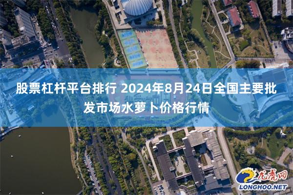 股票杠杆平台排行 2024年8月24日全国主要批发市场水萝卜价格行情