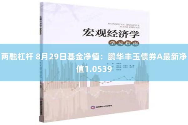 两融杠杆 8月29日基金净值：鹏华丰玉债券A最新净值1.0539