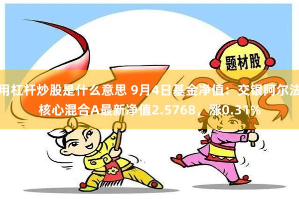 用杠杆炒股是什么意思 9月4日基金净值：交银阿尔法核心混合A最新净值2.5768，涨0.31%