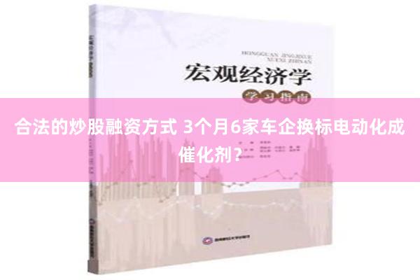 合法的炒股融资方式 3个月6家车企换标电动化成催化剂？