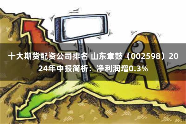 十大期货配资公司排名 山东章鼓（002598）2024年中报简析：净利润增0.3%