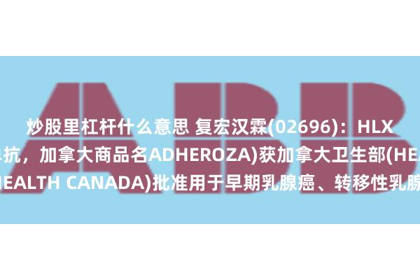 炒股里杠杆什么意思 复宏汉霖(02696)：HLX02(注射用曲妥珠单抗，加拿大商品名ADHEROZA)获加拿大卫生部(HEALTH CANADA)批准用于早期乳腺癌、转移性乳腺癌及转移性胃癌治疗