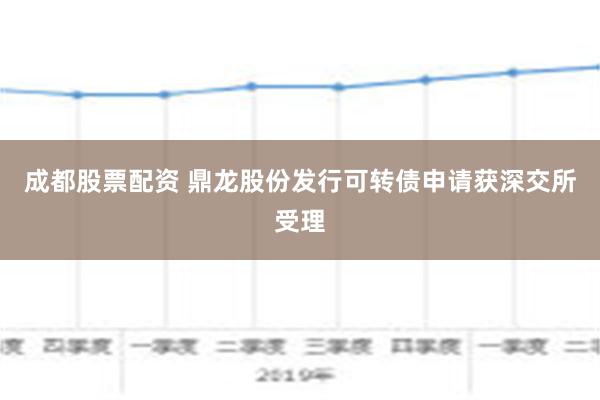 成都股票配资 鼎龙股份发行可转债申请获深交所受理