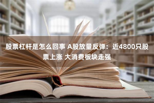 股票杠杆是怎么回事 A股放量反弹：近4800只股票上涨 大消费板块走强