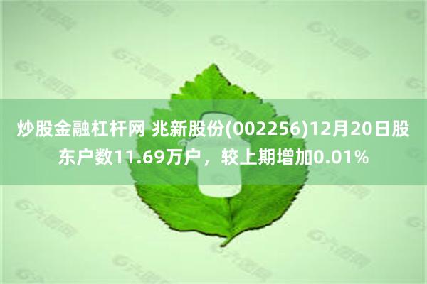 炒股金融杠杆网 兆新股份(002256)12月20日股东户数11.69万户，较上期增加0.01%