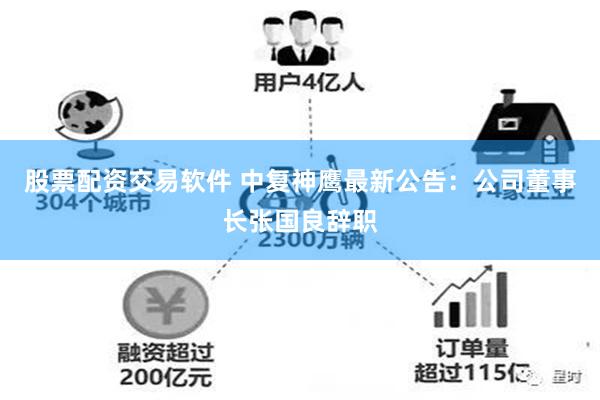 股票配资交易软件 中复神鹰最新公告：公司董事长张国良辞职