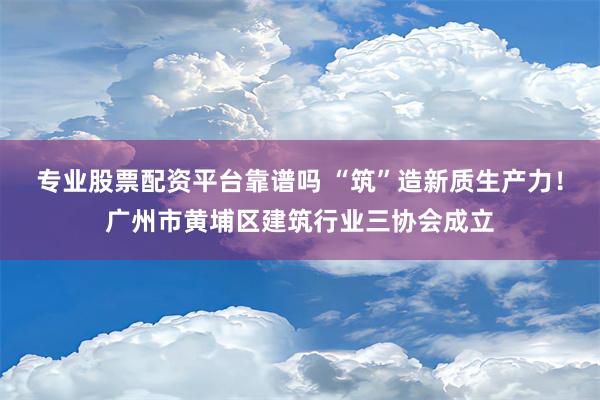 专业股票配资平台靠谱吗 “筑”造新质生产力！广州市黄埔区建筑行业三协会成立