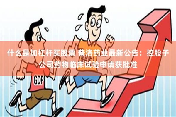 什么是加杠杆买股票 普洛药业最新公告：控股子公司药物临床试验申请获批准