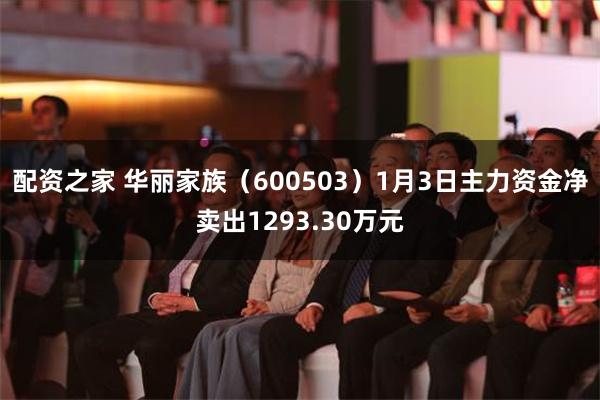 配资之家 华丽家族（600503）1月3日主力资金净卖出1293.30万元