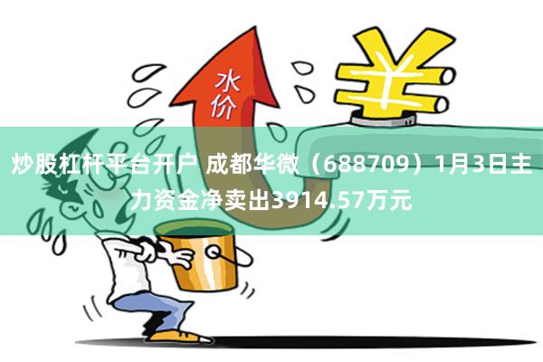 炒股杠杆平台开户 成都华微（688709）1月3日主力资金净卖出3914.57万元