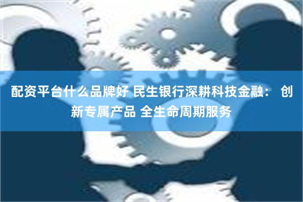 配资平台什么品牌好 民生银行深耕科技金融： 创新专属产品 全生命周期服务