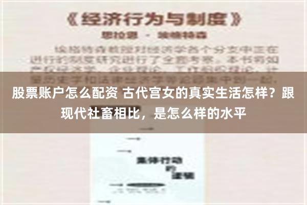 股票账户怎么配资 古代宫女的真实生活怎样？跟现代社畜相比，是怎么样的水平